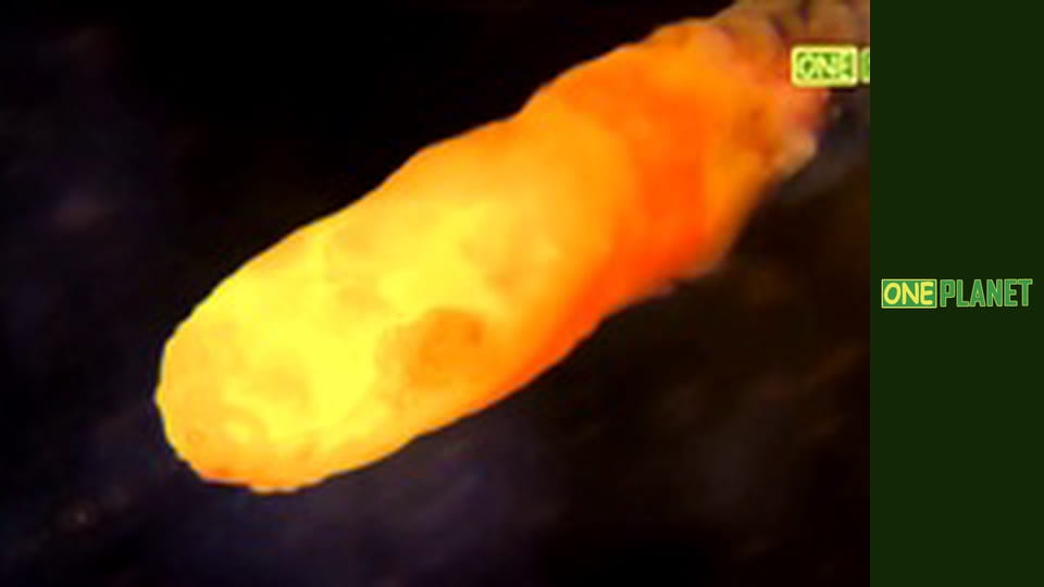 Отчаянные часы, 11 эп. Дорожные катастрофы.