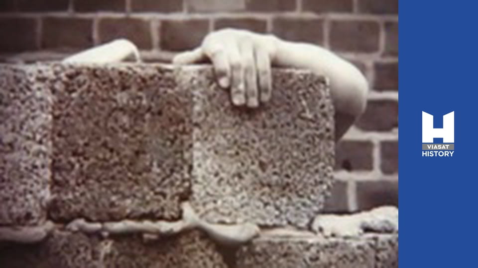 Історія у всій красі - Сезон 3 - Ізраїль