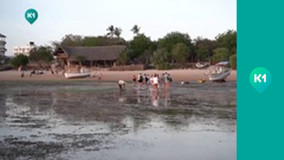 "Пригоди з Яною Метьолкіною".