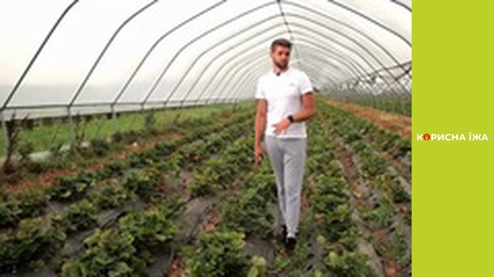 "Berries" - Series 3