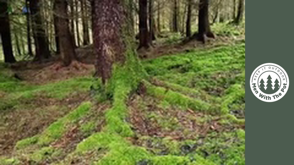 Słodka wieprzowina ananasowa