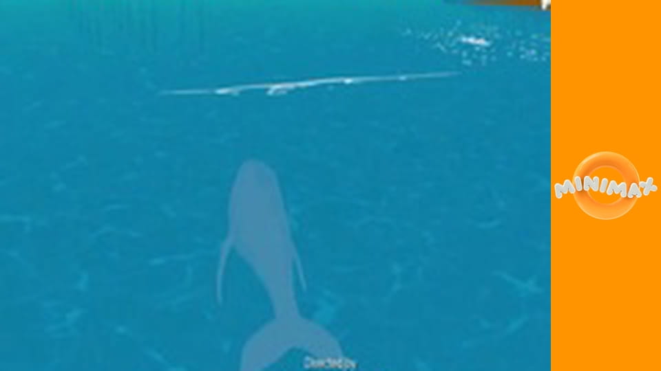 Zoom, a fehér delfin S3E1 - A nagy nap