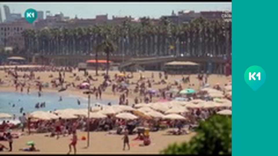 "Орел і Решка. Дайджест".