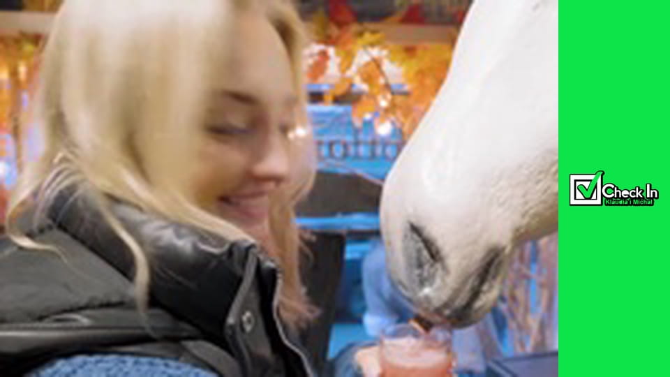 Londyn: Harry Potter! Sprawdzamy KAWIARNIE inspirowaną FILMEM!