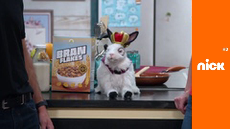 Т/с "Грізна сімейка: Під прикриттям", 2 сезон, 5 с. "Інтрига у літню ніч".