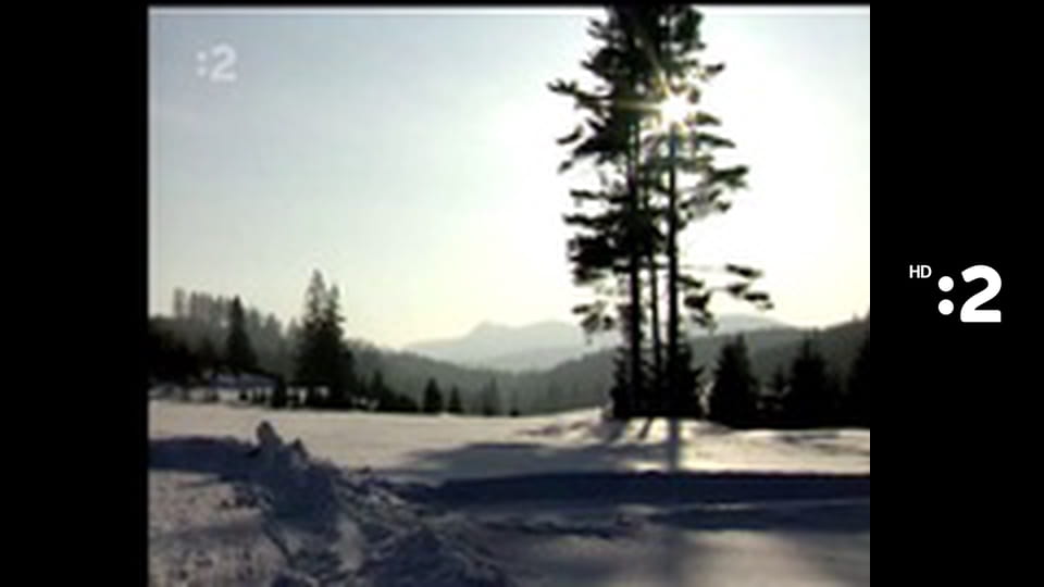 Prechádzka zimným rajom