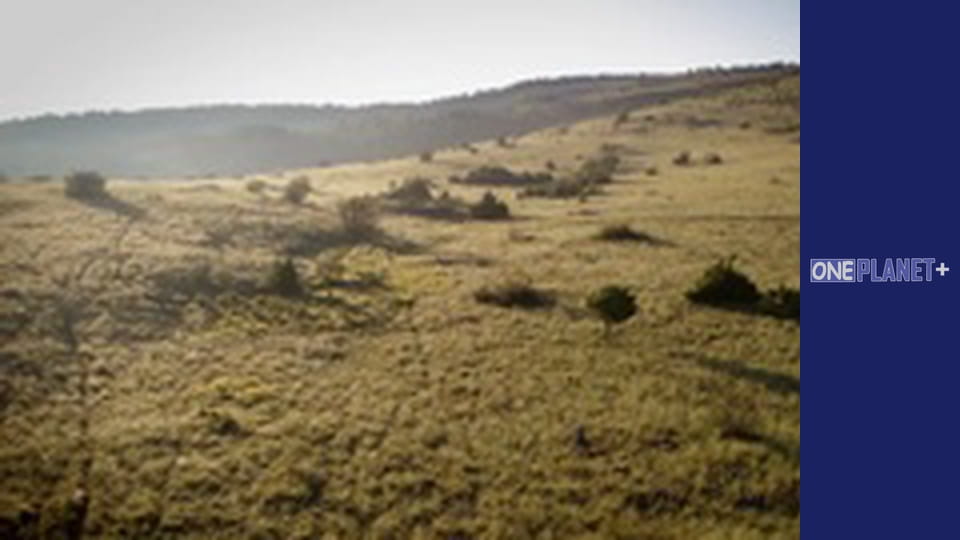 Unlocking the Past, Episode 11