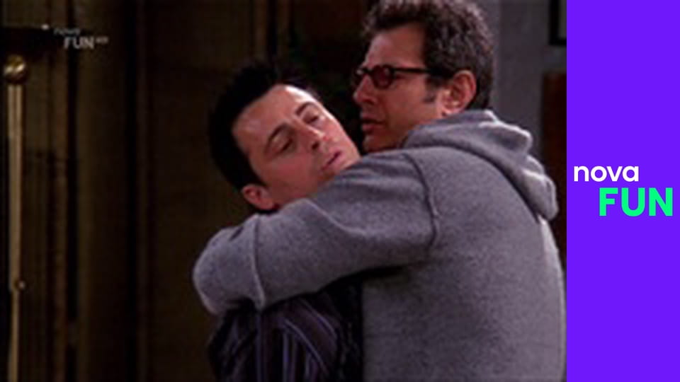 Přátelé S9E16 - Plastika