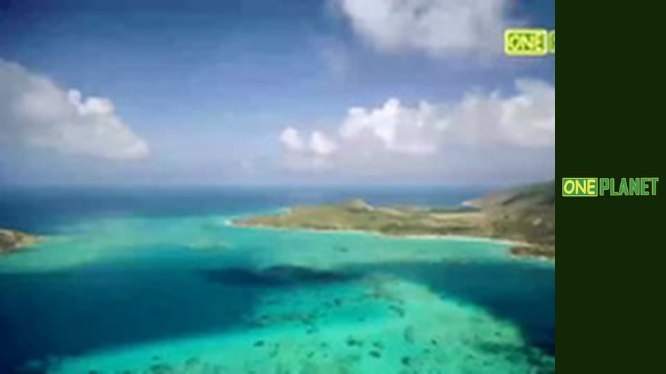 Большой Барьерный риф, 3 эп.