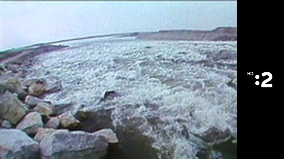 Obrázky z prírody E4 - Hlavátka podunajská