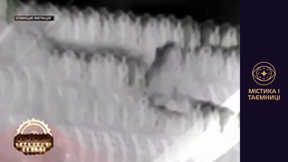 Таємниці світу. Операція іміграція