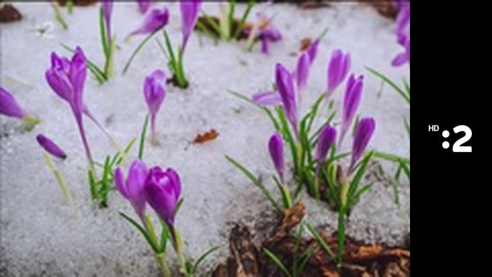 Symbióza v prírode E1 - Hory