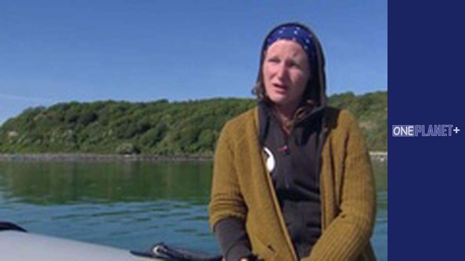 Просто неба - Національні парки. - серия 3