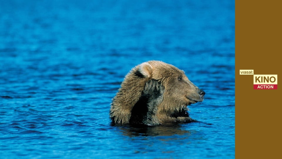 Людина-Грізлі