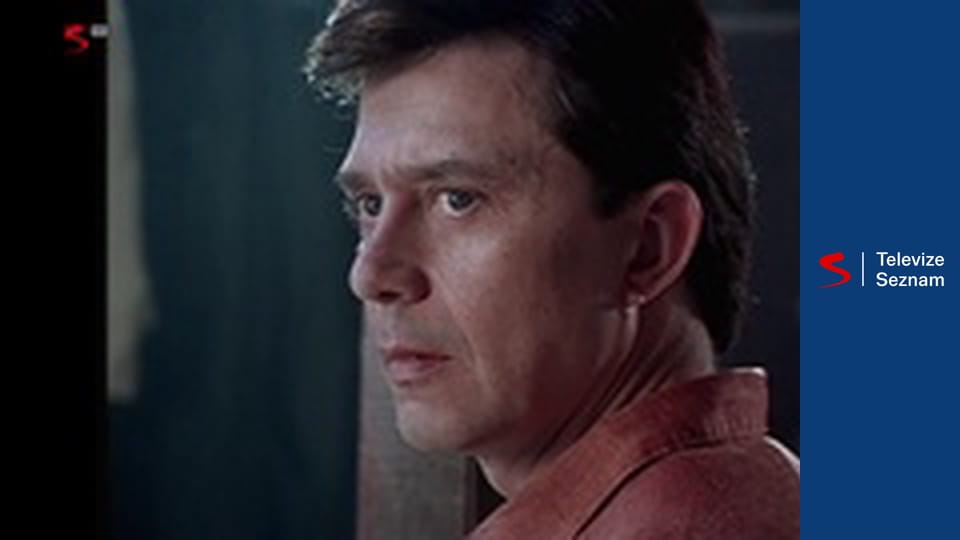 Věřte nevěřte E19 - Varování / Autobusová zastávka / První pomoc / Ochránce / Dárek