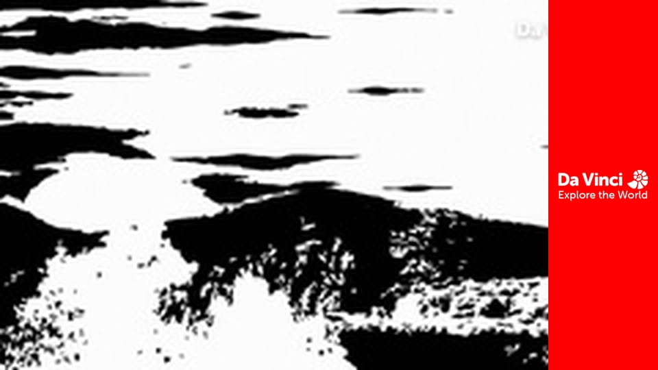 Cubs - Iberian-Lynxes