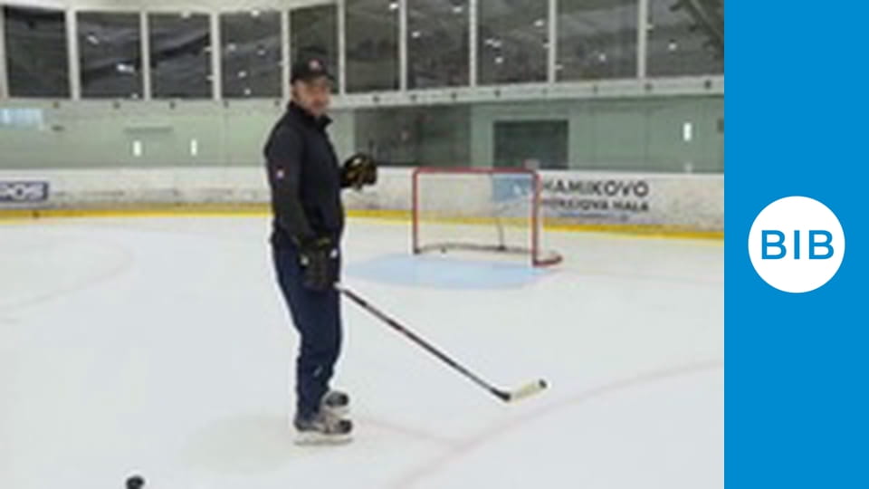 Shaolin Temple Europe