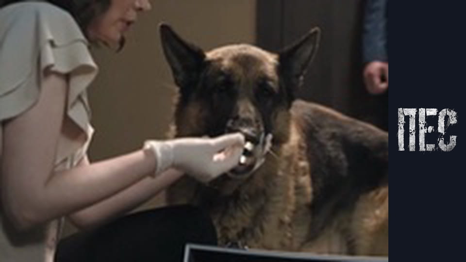 Dog, Season 6, Episode 7