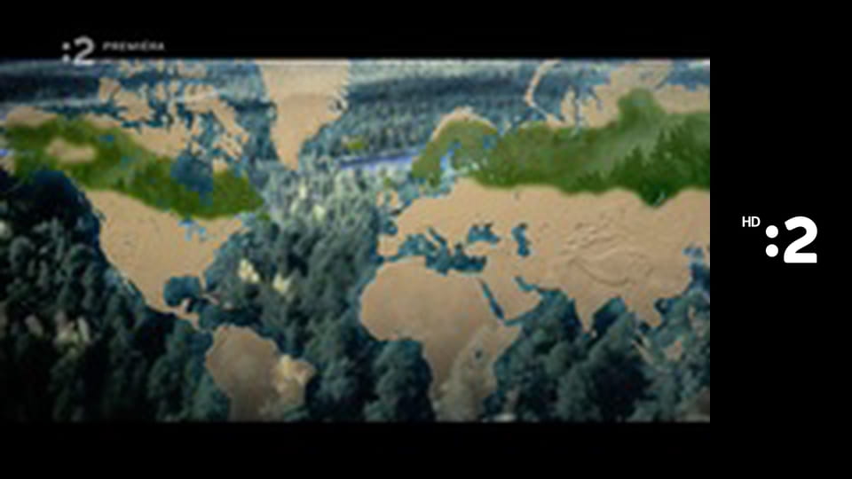 O stromoch a lesoch E4 - Breza ďalekého severu