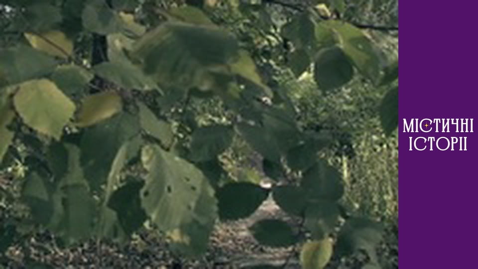 Т/с "Містичні історії" Сезон 1 серія 1