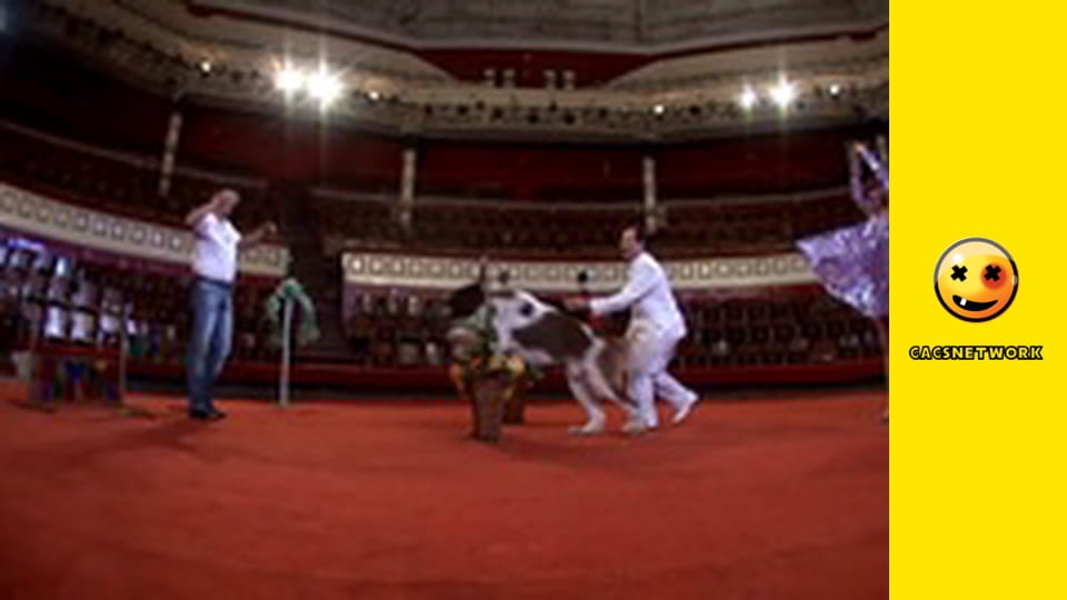 Naked & Funny. Casting Couch.