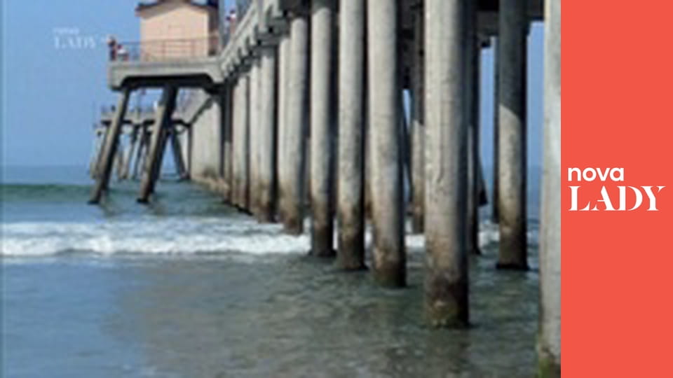 Pobřežní hlídka S3E5 - Vliv mola