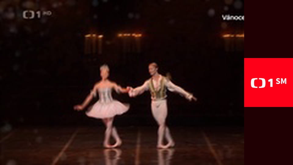 Na silnici jako doma - Řidiči s hendikepem