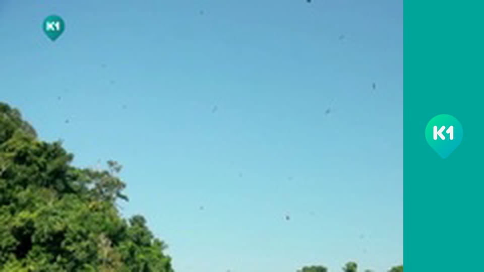 "Орел і Решка. Дайджест".