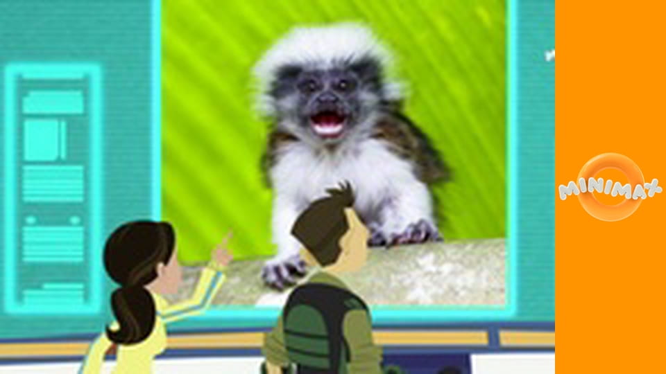 Poznáváme přírodu S6E8