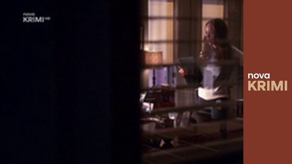 Myšlenky zločince S11E7