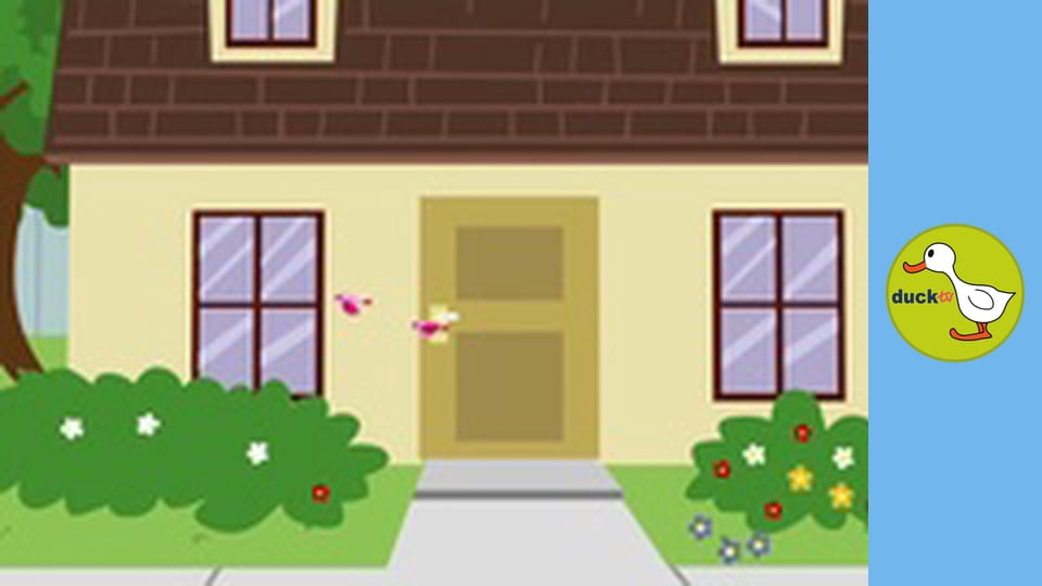 Zack & Ziggy - New Friends