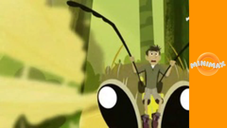 Poznáváme přírodu S1E32 - Lety Opylovačů