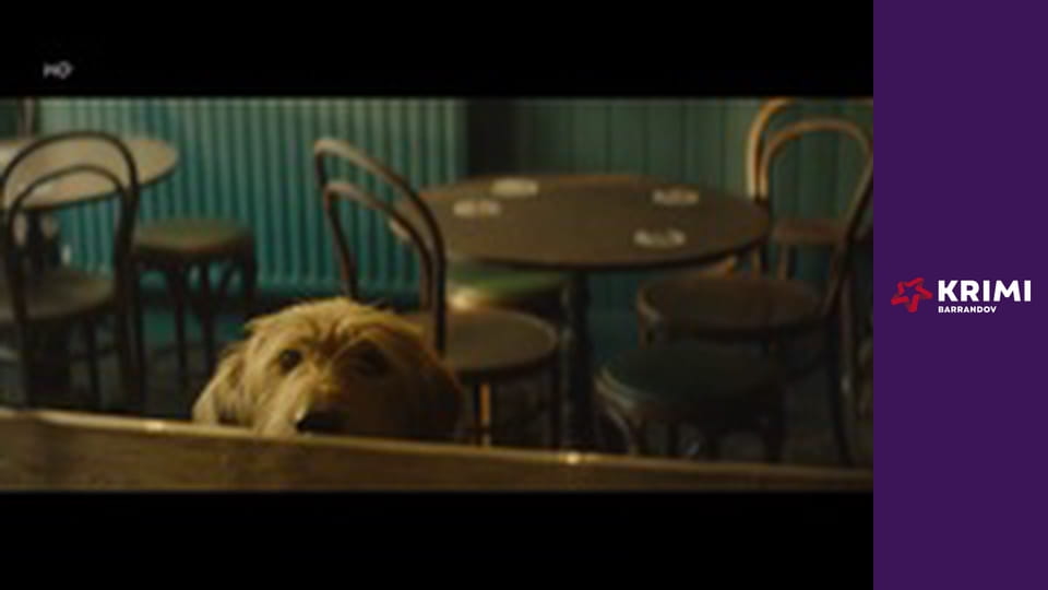 Exkluziv Kateřiny Brožové