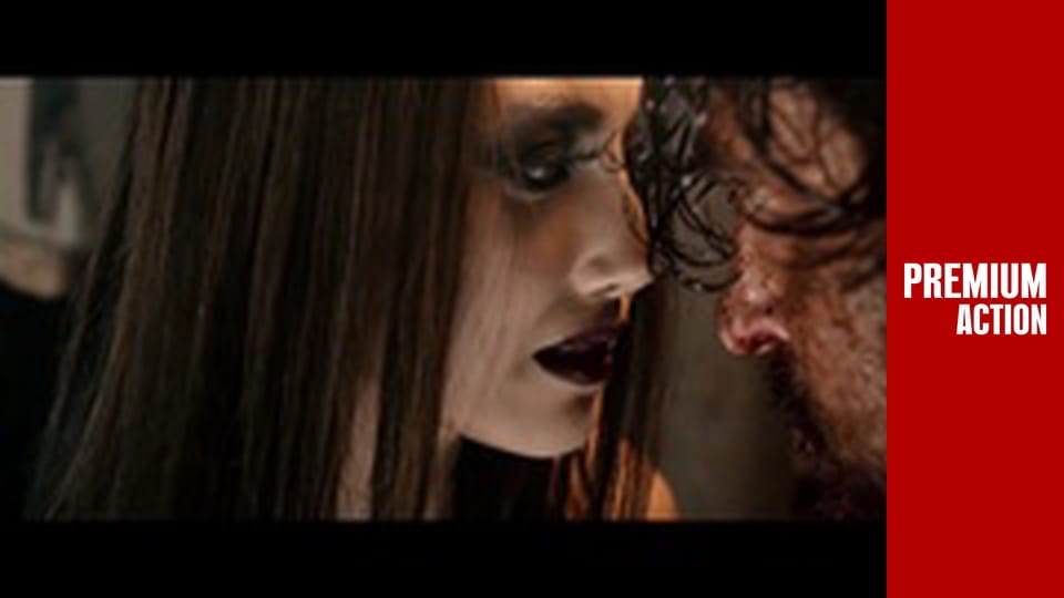 Дневники мстителя