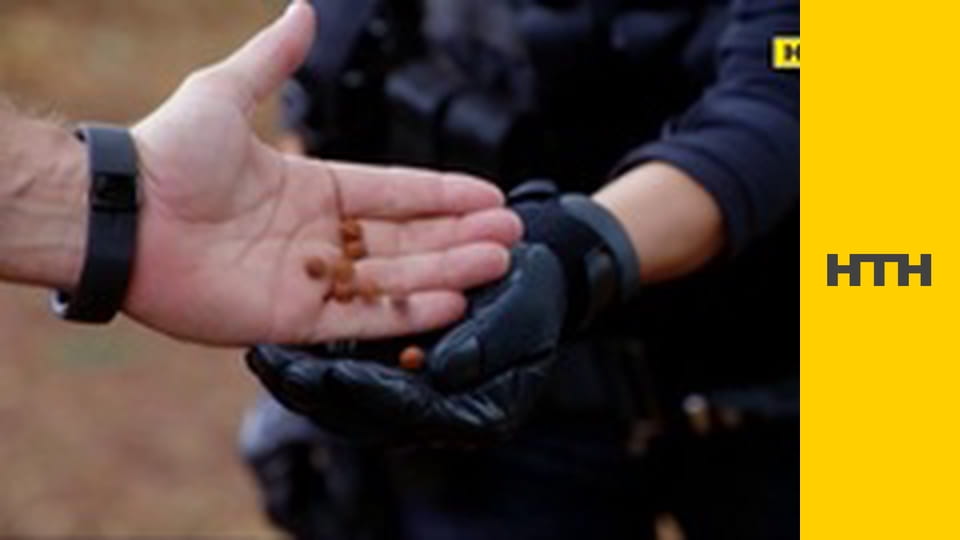 Т/с "Гаваї 5.0", 6 сезон, 20 і 21 с.