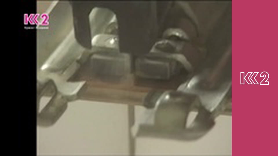 Спеція E22 - Смажена картопля