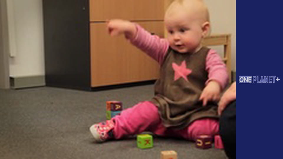 В поисках знаний. - cерия 28