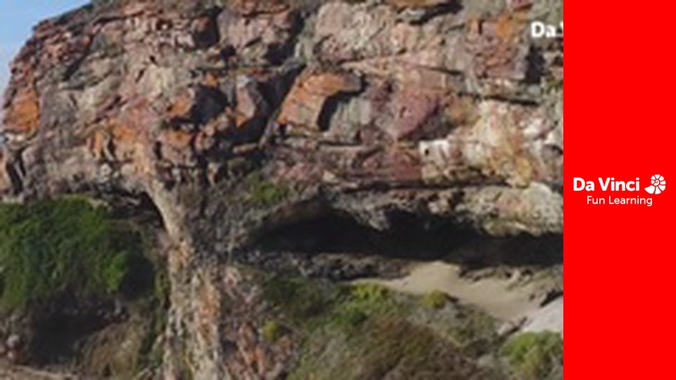 Siyaya - Wildest Cape - Robberg - Learning About Survival