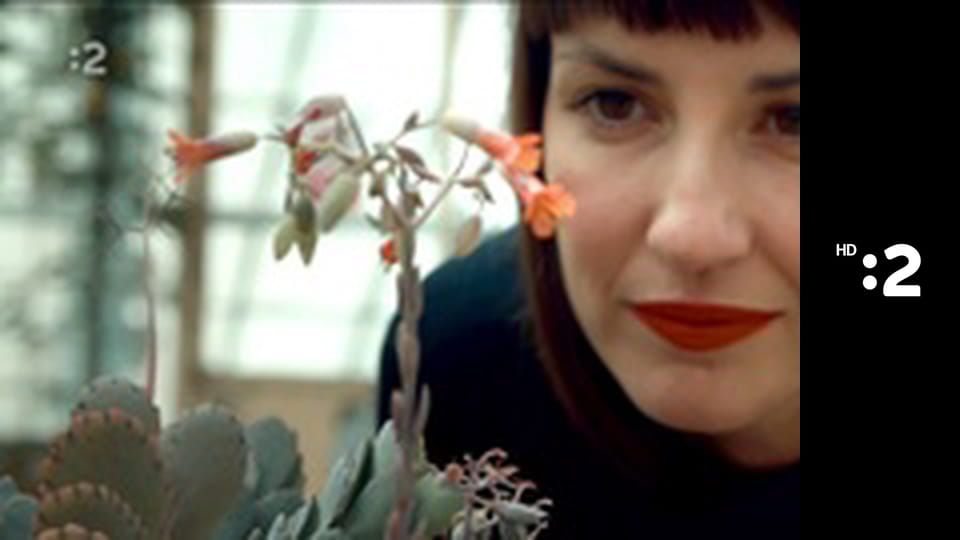 NeCelebrity E8 - Štefan Gabčan