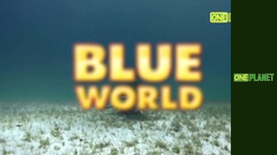 Мир морских глубин, 17 эп.