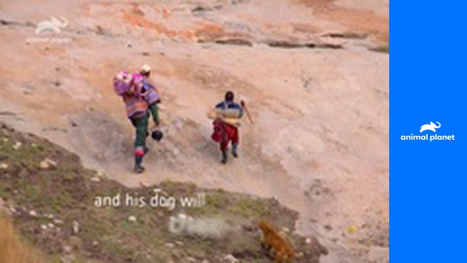 Psi: jejich neznámé dějiny S1E3 - Společně silnější