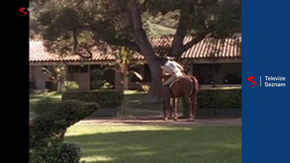 Věřte nevěřte E24 - Noční můra / Násilník / Auto snů / Aranžér / Pohřeb