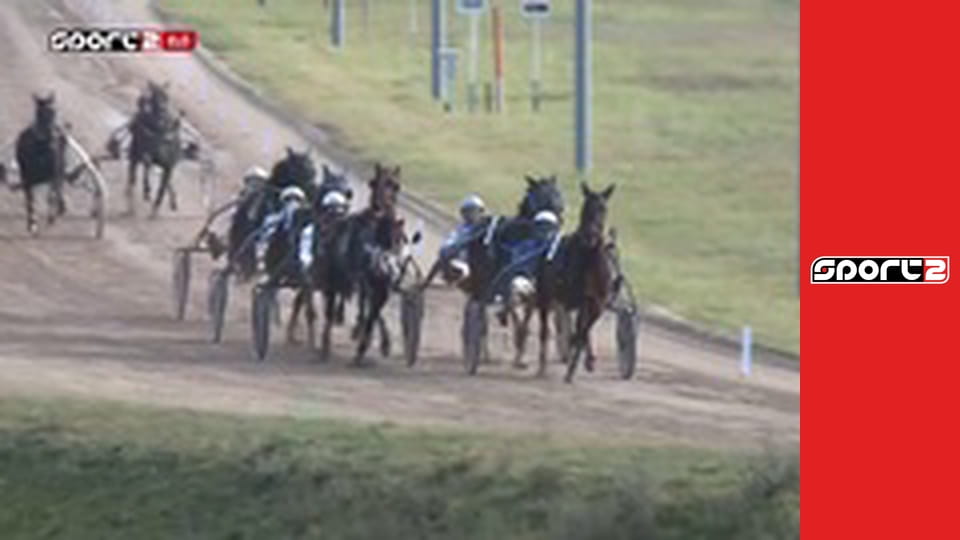 Lóverseny. Kincsem+ Tuti 1172 - premier, élő, HD