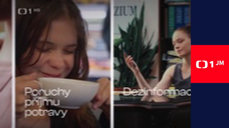 Na silnici jako doma - Nepozornost