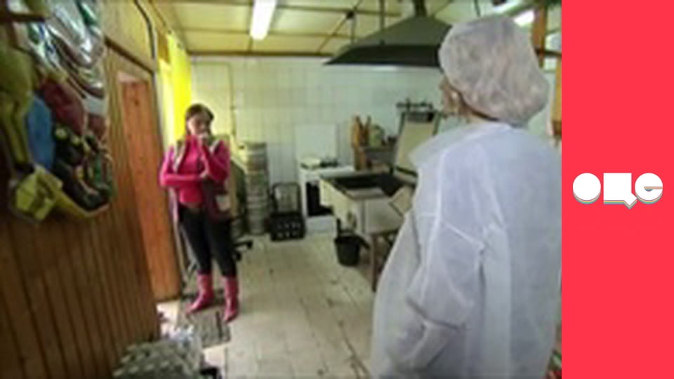 Ревизор, 4 сезон, 1 эп.