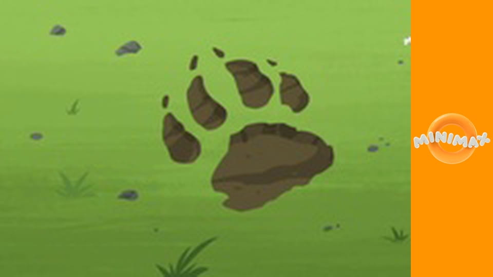 Poznáváme přírodu S1E34 - Mládě Vlka