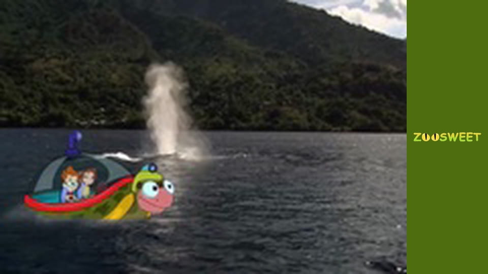 My friends are animals. Underwater mission - episode 24