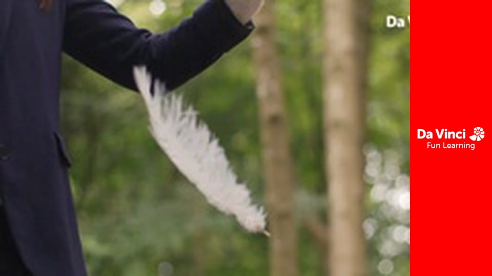 Магічні числа: таємничий світ математики Ханни Фрай  - Розширені горизонти