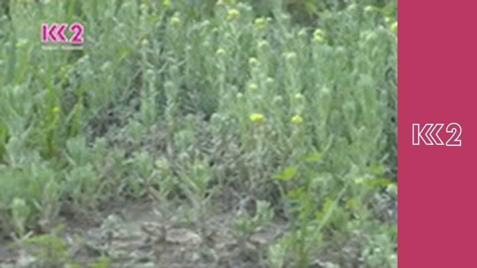 Удачний проект S3E16