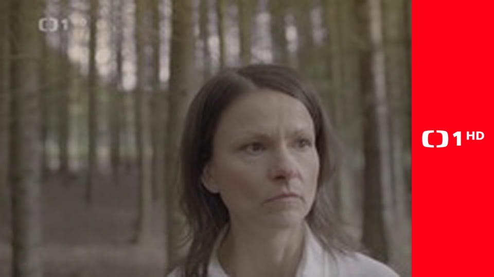 Výsledky žrebovania Šťastných 10 a Euromilióny